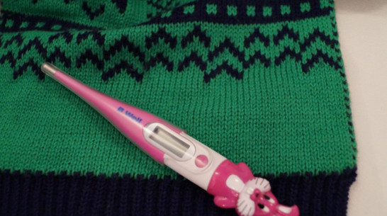 Две воронежские школы закрылись на карантин по гриппу 