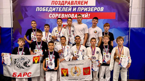Борисоглебцы завоевали 6 золотых медалей на областных соревнованиях по армейскому рукопашному бою