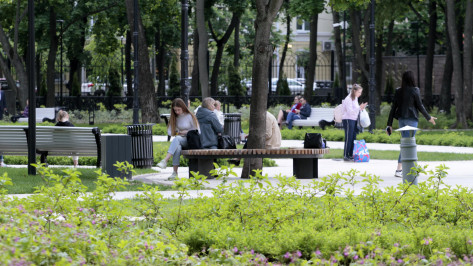 В Воронеже на уход за зелеными насаждениями в парке «Орленок» выделят до 10 млн рублей