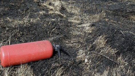 Пожарная опасность выросла до среднего уровня в Воронеже и 11 районах области