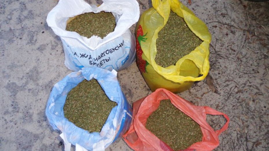 В Воронежской области наркополицейские нашли в «Ниве» более 3 кг марихуаны