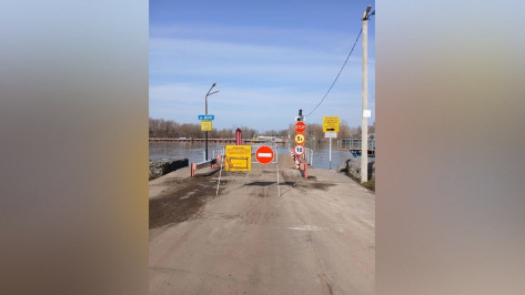 В Воронежской области снова сняли понтонный мост через реку Дон между Верхнемамонским и Россошанским районами