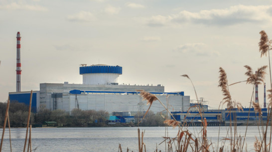 НВ АЭС обеспечит стабильную выработку электроэнергии в период весеннего паводка