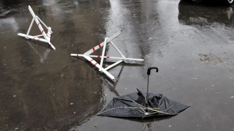 Жителей Воронежской области предупредили о сильном юго-западном ветре