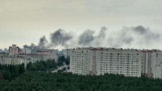 Спасатели объяснили задымление в Северном микрорайоне Воронежа