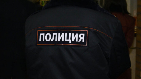 В Воронеже будут судить дебошира, пнувшего участкового в пах