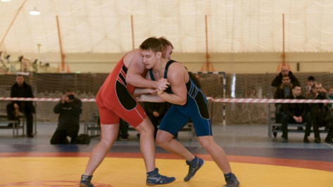 Губернатор Алексей Гордеев проконтролирует подготовку воронежского чемпионата по борьбе