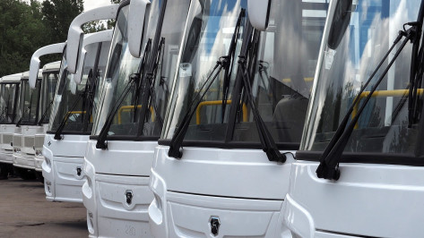 Автобусы за полмиллиарда рублей в Воронежскую область поставят 4 фирмы