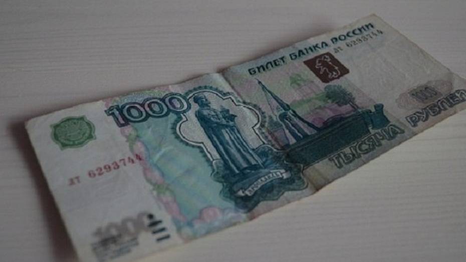 Жительница Семилукского района получила 1,5 года колонии за 1 тыс рублей