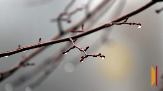 Пасмурные и дождливые выходные ожидают воронежцев