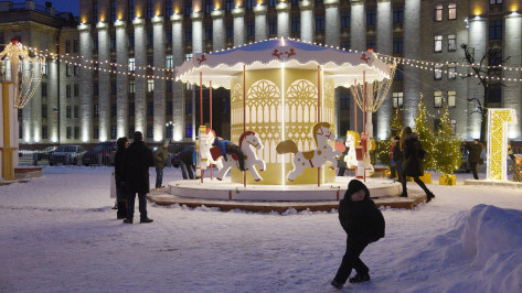 Охрана новогодней площади Ленина в Воронеже будет стоить до 10,6 млн рублей