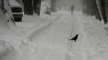 Сильный снегопад прогнозируют в Воронежской области 9 декабря
