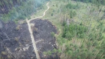 Последствия пожара в Воронежском заповеднике показали на видео
