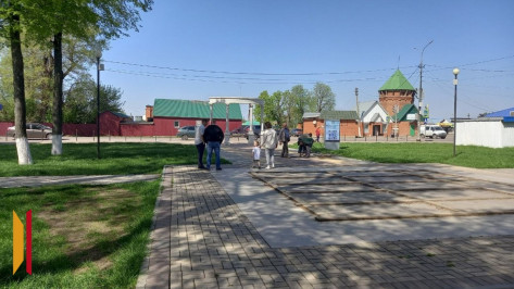 Панинцы выиграли 3 областных гранта на озеленение общественных территорий