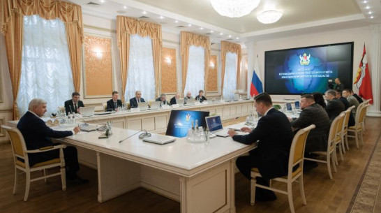 На градостроительном совете рассмотрели первый проект комплексного развития территории за пределами Воронежа