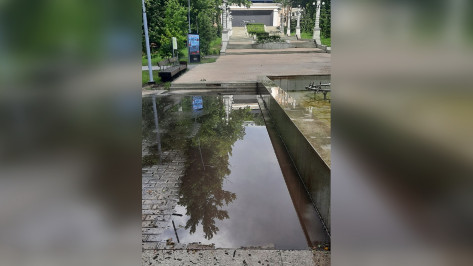 Центральный парк в Воронеже вновь закрыли на 3 дня после ливня