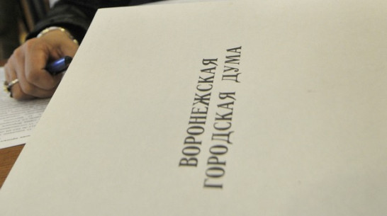 На два места в Воронежской городской думе претендуют 23 кандидата