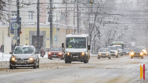Итоги недели. Что важного произошло в Воронежской области с 22 по 28 декабря