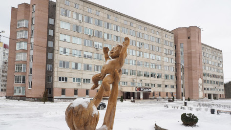 Более 17,4 тыс детей родились в 2022 году в Воронежской области
