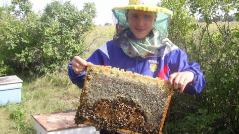 Юный грибановский пчеловод победил во всероссийском конкурсе "Юннат-2012"