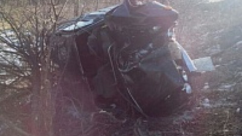 В Подгоренском районе опрокинулась «шестерка»