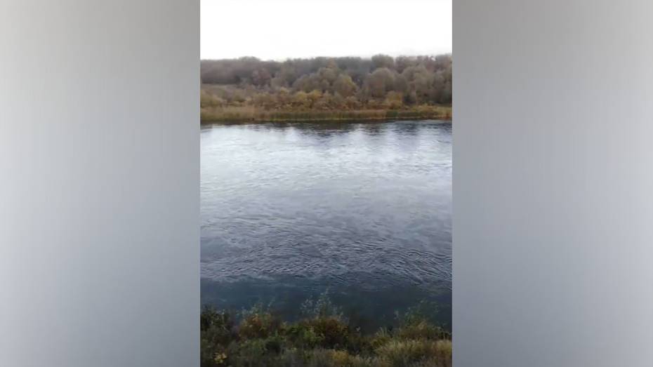 Администрация Рамонского района опровергла информацию о разливе нефтепродуктов в реке Дон под Воронежем