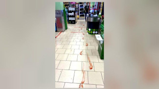 В Воронеже парень ворвался в магазин и устроил кровавую сцену