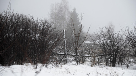 Туман и мокрый снег придут в Воронежскую область вечером 26 января