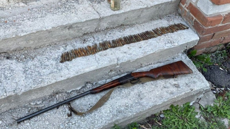 Ружье с 69 патронами и 34 куста конопли нашли на участке воронежца