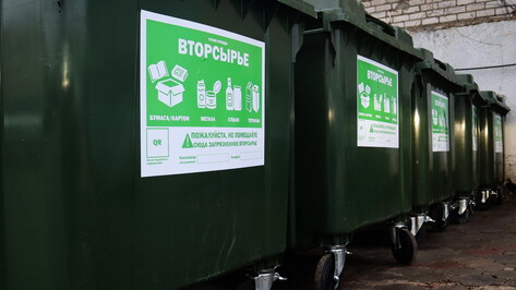 Новый способ информирования применят на контейнерах для вторсырья в Воронеже