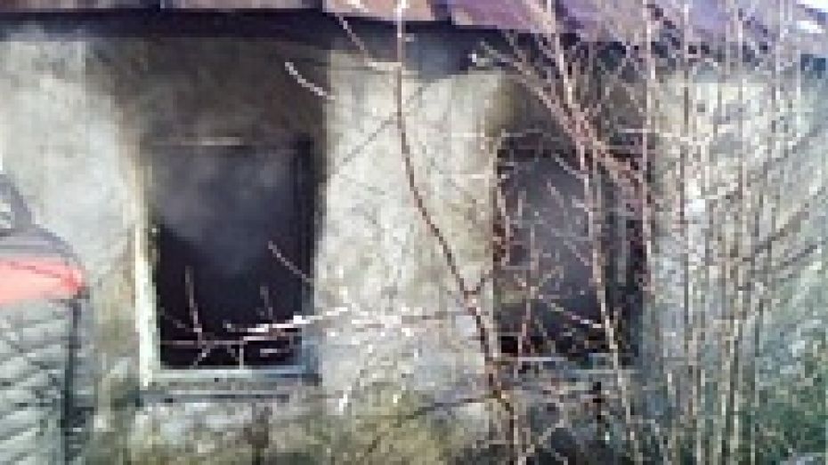 Мать маленьких братьев, погибших на пожаре под Воронежем, проверят на вменяемость