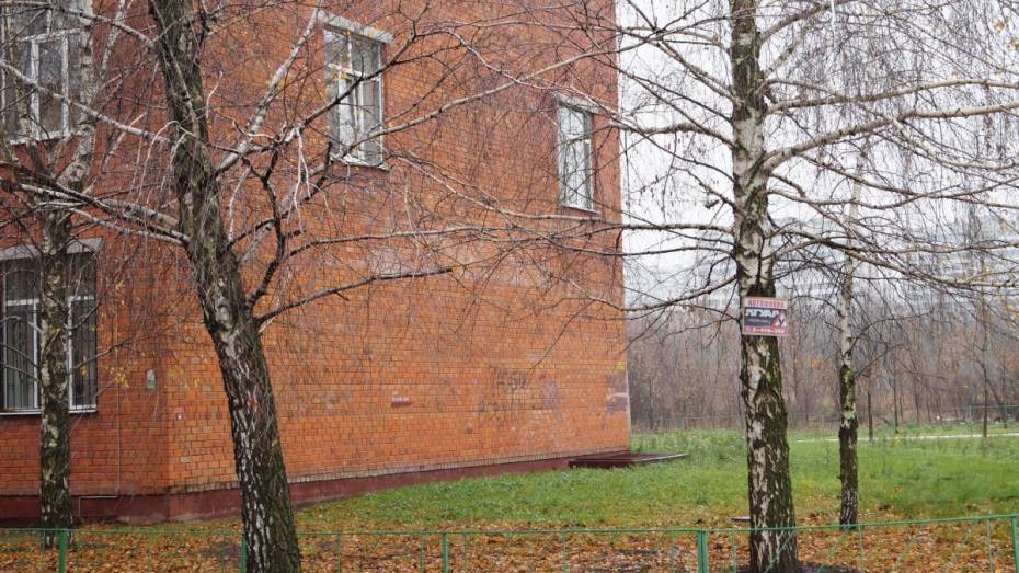 В Воронеже из-за мины эвакуировали студентов ВГУ