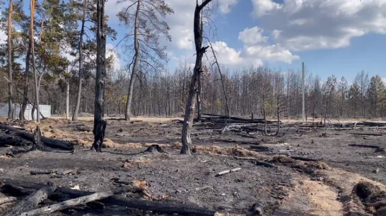 Стала известна причина пожара в Ямном под Воронежем