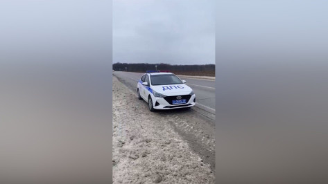 Воронежские полицейские помогли женщине, у которой на трассе заглох автомобиль