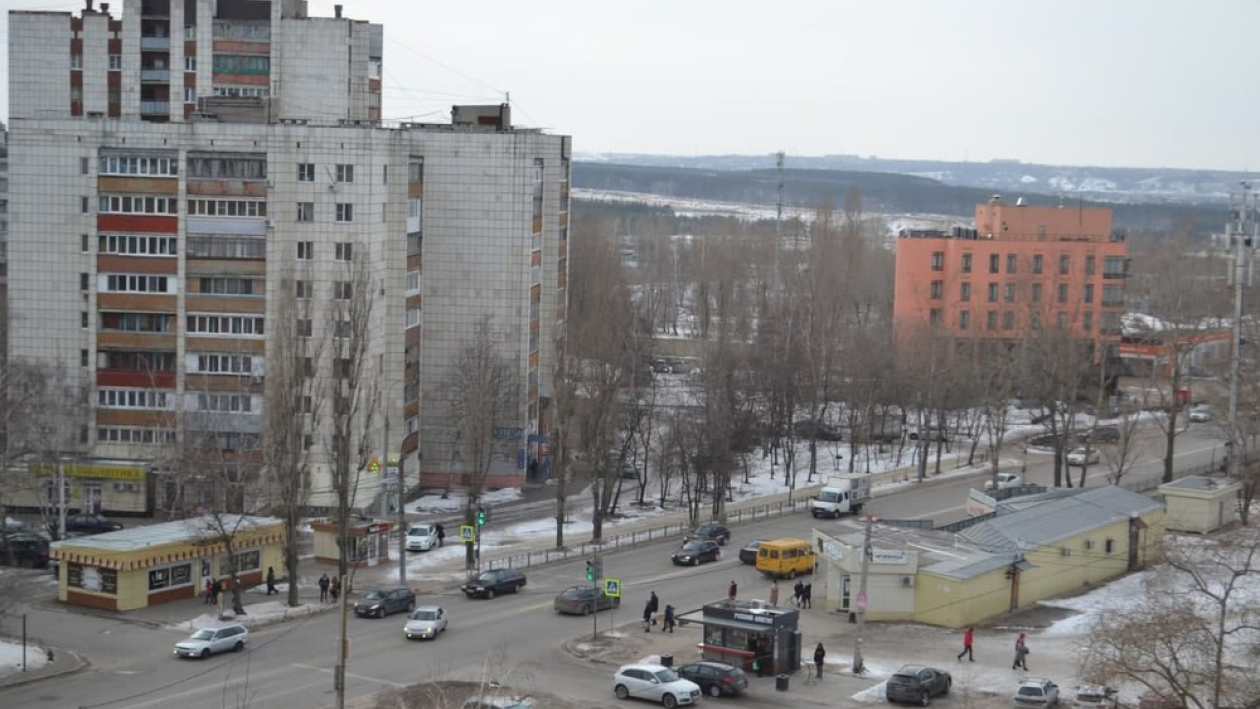 Переезд в Воронеж и опаснее ли интернет лазания по деревьям: что обсуждают в соцсетях