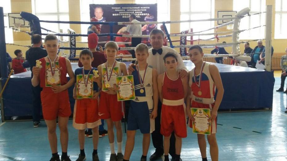 Семилукские боксеры победили в областном турнире