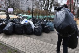 «Чистые игры» в Воронежской области перенесли на весну 2022 года