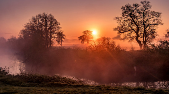 Калачеевцы в День города вместе встретят рассвет