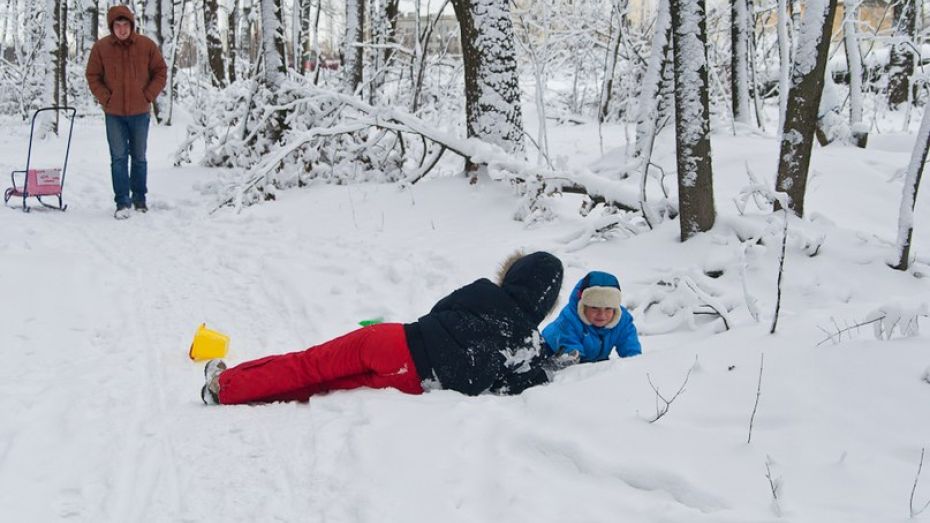 Мороз в Воронеже окрепнет до -19 градусов