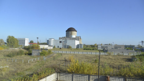 Снос замороженной Воронежской атомной станции перенесли на 2020 год 