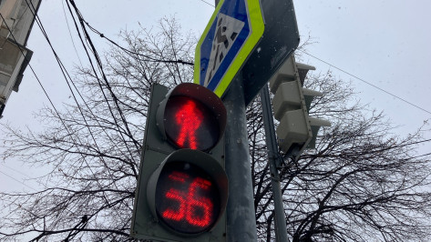 В центре Воронежа 12 февраля отключат светофор возле мэрии