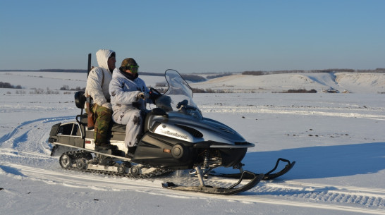 Нижнедевицкие охотники начали отстрел лисиц