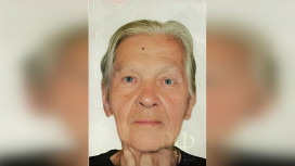 Воронежские волонтеры ищут пропавшую 92-летнюю пенсионерку