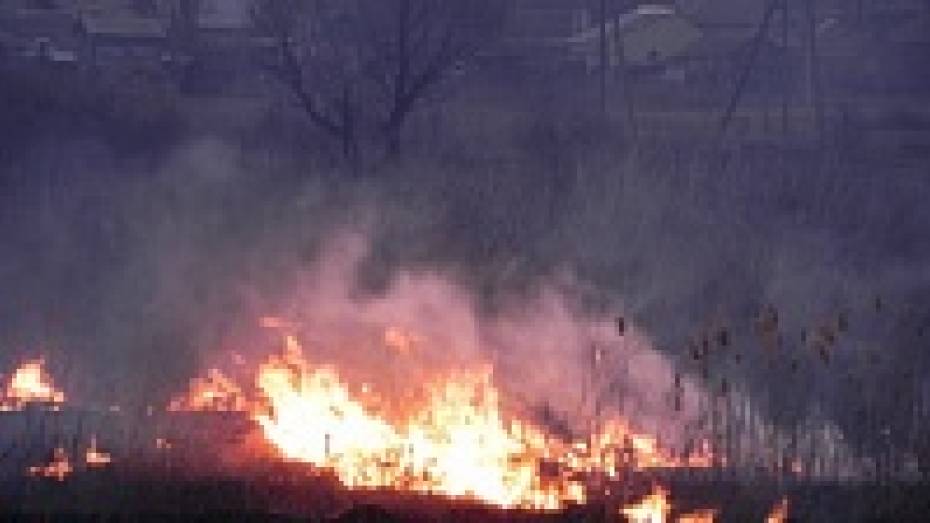 В Кантемировском районе из-за палов сухой травы едва не сгорели жилые дома