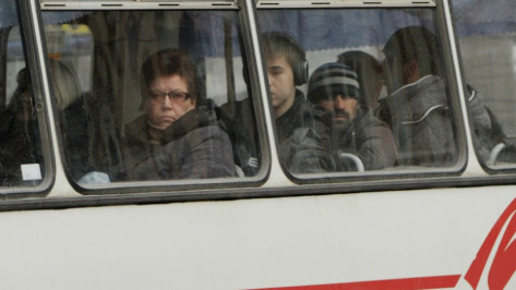 В Воронеже отменят два автобусных маршрута
