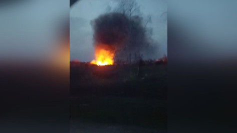 Большой пожар вспыхнул на свалке в Лисках Воронежской области: видео