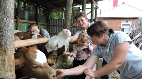 Нужное дело. Молодая семья из Воронежской области благодаря социальному контракту открыла мини-ферму