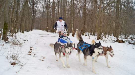 Каникулы с РИА «Воронеж»: зимние забавы