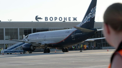 Запрет на работу воронежского аэропорта продлили до 19 апреля