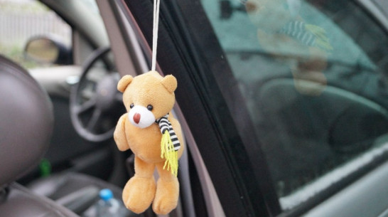 Воронежцы устроят автопробег накануне Дня защиты детей